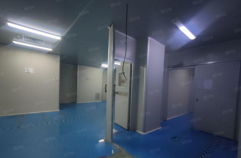 塘厦林村2000平方精装修无尘车间出租500平起分租可办环评