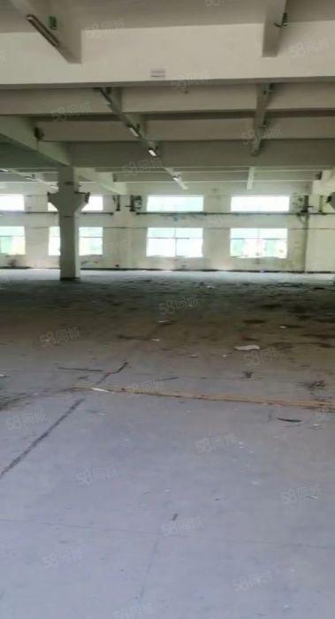 塘厦龙背岭单一层钢构小独院仓库厂房空地大个人直租1500平方