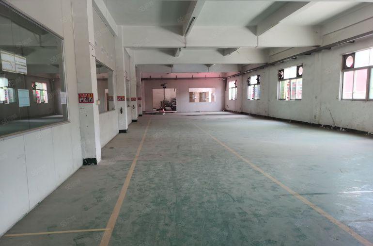 15块起分塘厦外环高速口原房东独院6000平实际面积出租