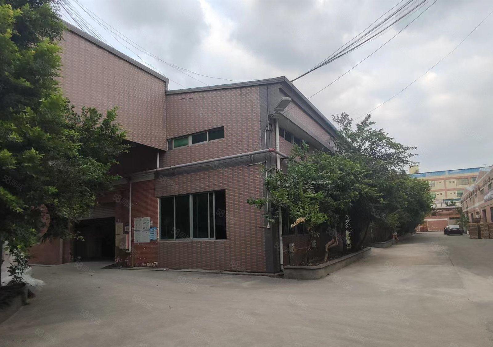 塘厦桥陇单一层独院厂房2000平出租，高7米空地大可进挂车