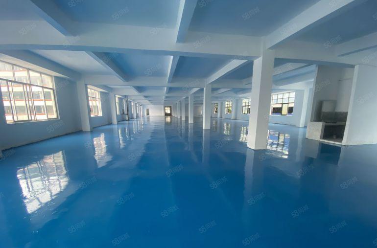 塘厦莆心湖独院标准3楼1420平方，全新地坪漆装修，主线到位