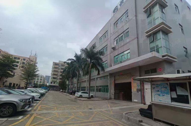 塘厦石鼓楼上空出650平出租，豪华装修，水电齐全，租金实惠