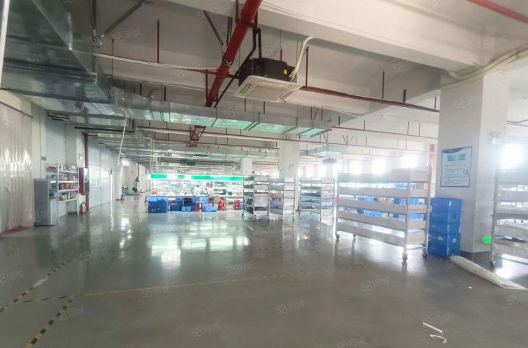 塘厦科苑城楼上豪华装修厂房仓库低价出租，丙二类消防行业不限