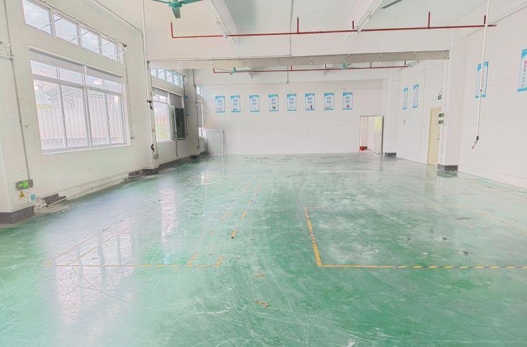 楼上200平起租10元塘厦科苑城厂房仓库出租