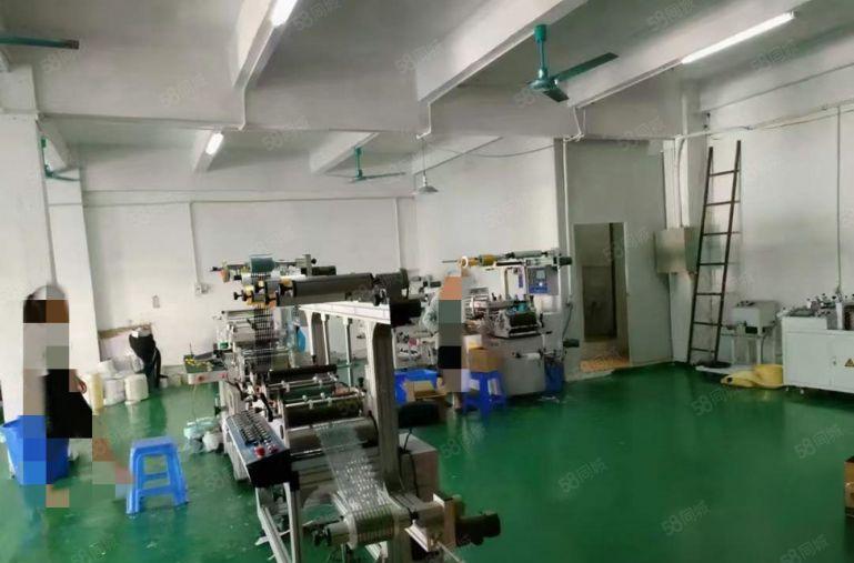 塘厦四村标准厂房2楼460平现成水电办公室拎包入驻