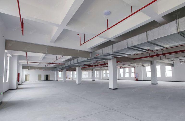 小独栋厂房，大堂客梯货梯俱全，形象好环境佳，独门独院客货分流