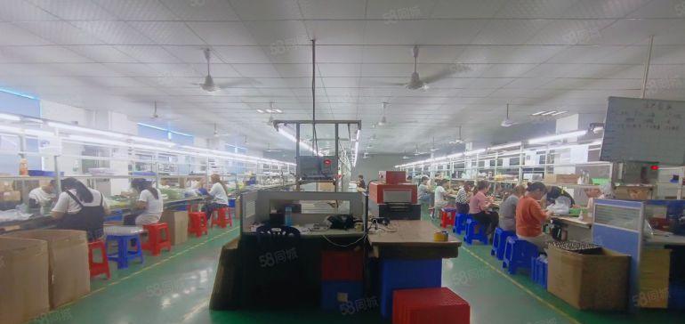 塘厦石马原房东直租标准4楼1380平，实际面积出租，无转让费