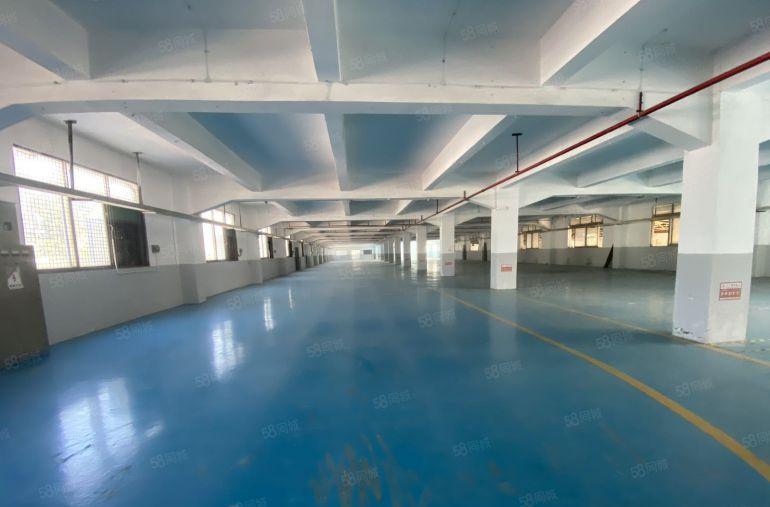 塘厦石潭埔独院新出标准2楼2200平方，现成精装修，水电齐全