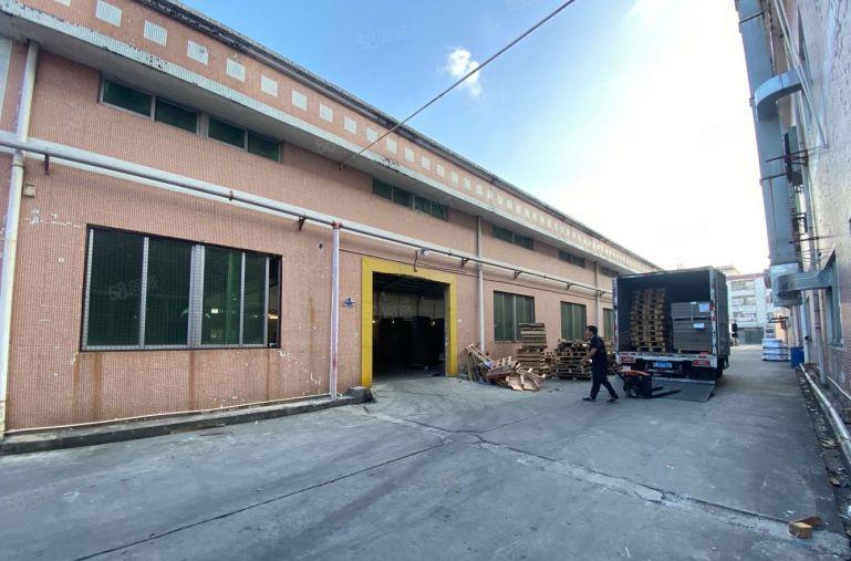 塘厦桥陇砖墙单一层4000平方！滴水8米！中间无柱子易规划