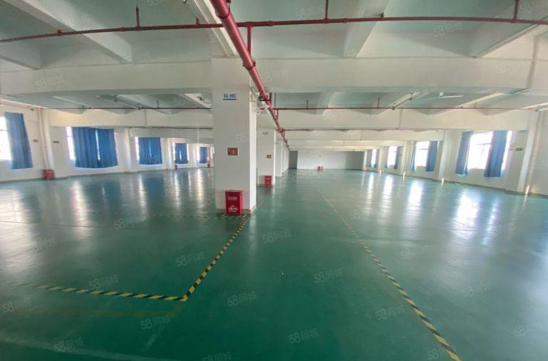 原房东直租标准3楼2680平方！无公摊！地坪漆精装修