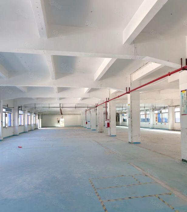 塘厦镇诸佛岭村新出3层独门独院厂房7600平方出租可分租