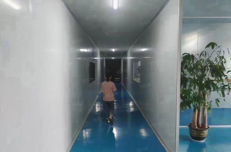 无尘车间2000平  可以分租 价格便宜