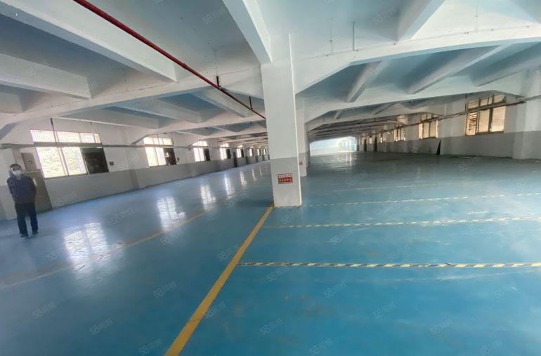 塘厦石潭埔独院新出标准2楼2200平方，现成精装修，水电齐全