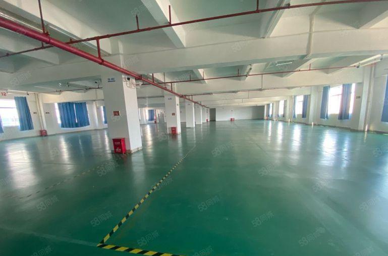 原房东直租标准3楼2680平方！无公摊！地坪漆精装修