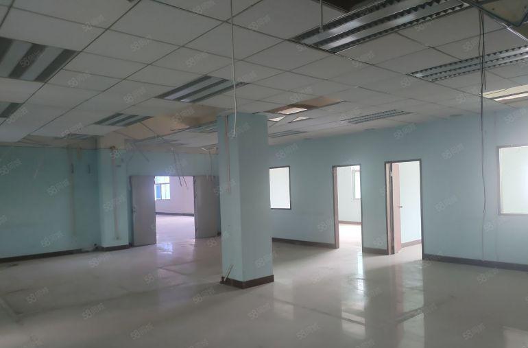 15块起分塘厦外环高速口原房东独院6000平实际面积出租