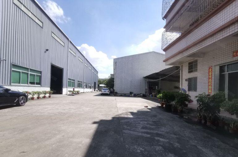 塘厦蛟乙塘原房东钢构独院3180平，滴水9米电可过户靠高速