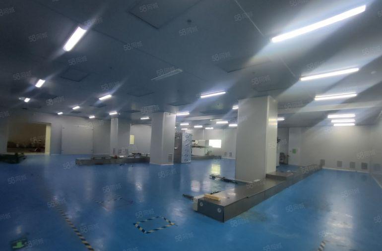 塘厦林村2000平方精装修无尘车间出租500平起分租可办环评