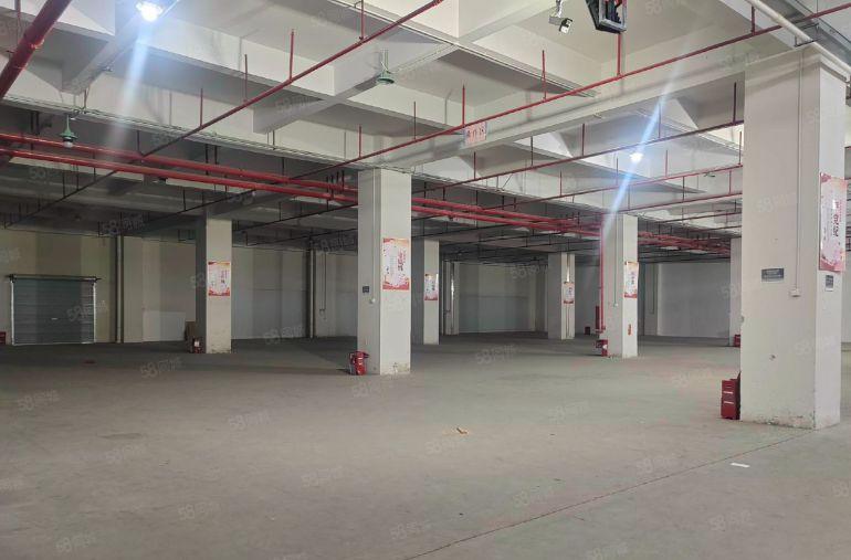 东莞塘厦带卸货平台物流仓2850平方米，实际面积出租