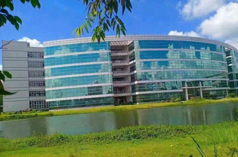 塘厦镇大平原房东花园独门独院红本厂房招商