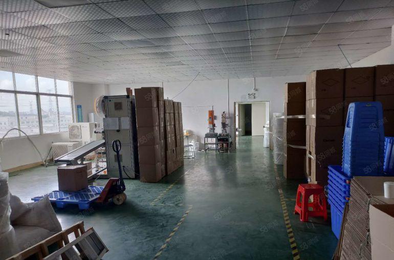 塘厦振兴围新出标准2楼450平，全层吊顶地坪漆装修，拎包入驻