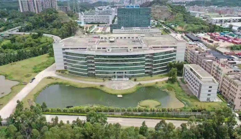 塘厦镇大平原房东花园独门独院红本厂房招商