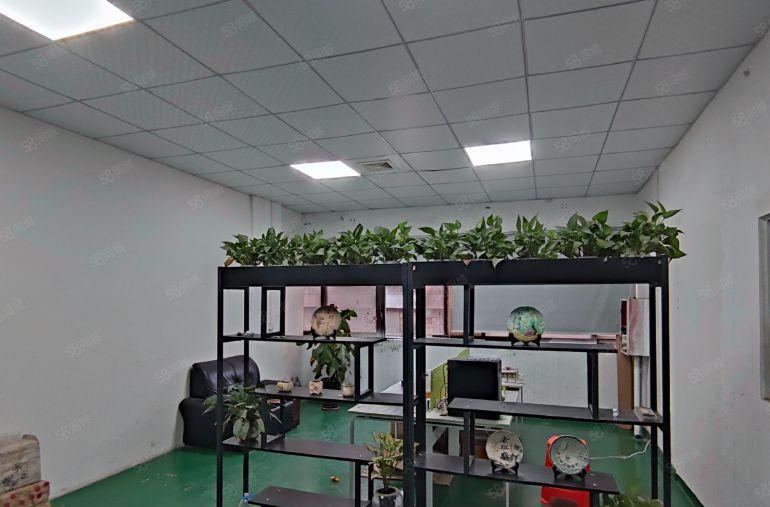 塘厦龙背岭楼上500平小面积厂房，带精装修办公地坪漆低价出租