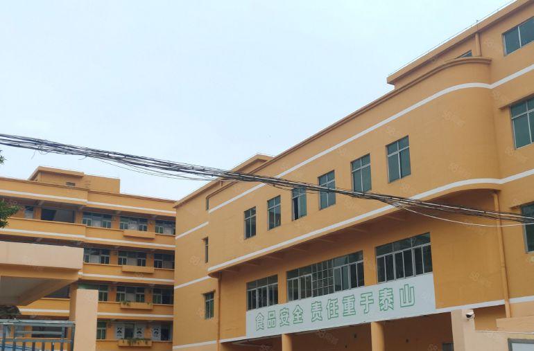 寮步 向西 路口 小厂房 700平方,8元急租！好招工