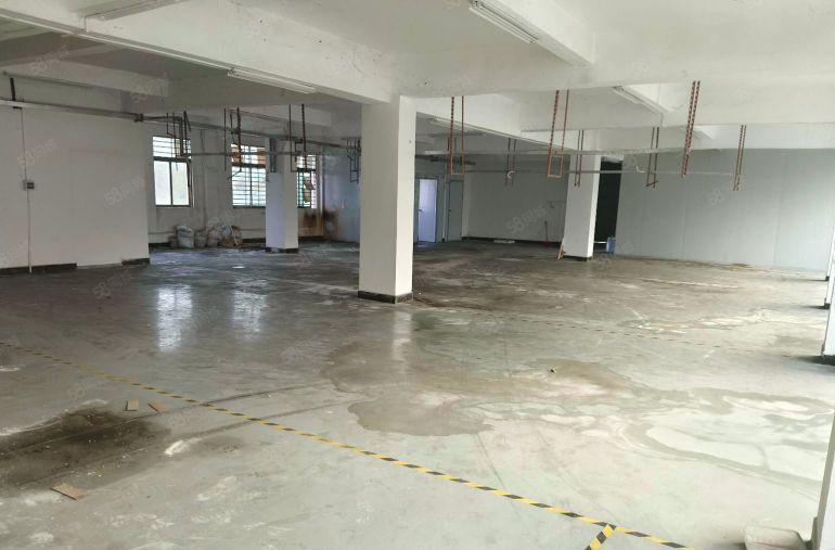 寮步上屯标准厂房二楼600平方 现成装修