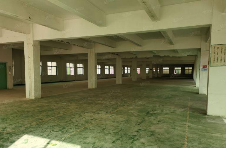 寮步原房东独门独院厂房出租4000平方米带宿舍带办公室已装修