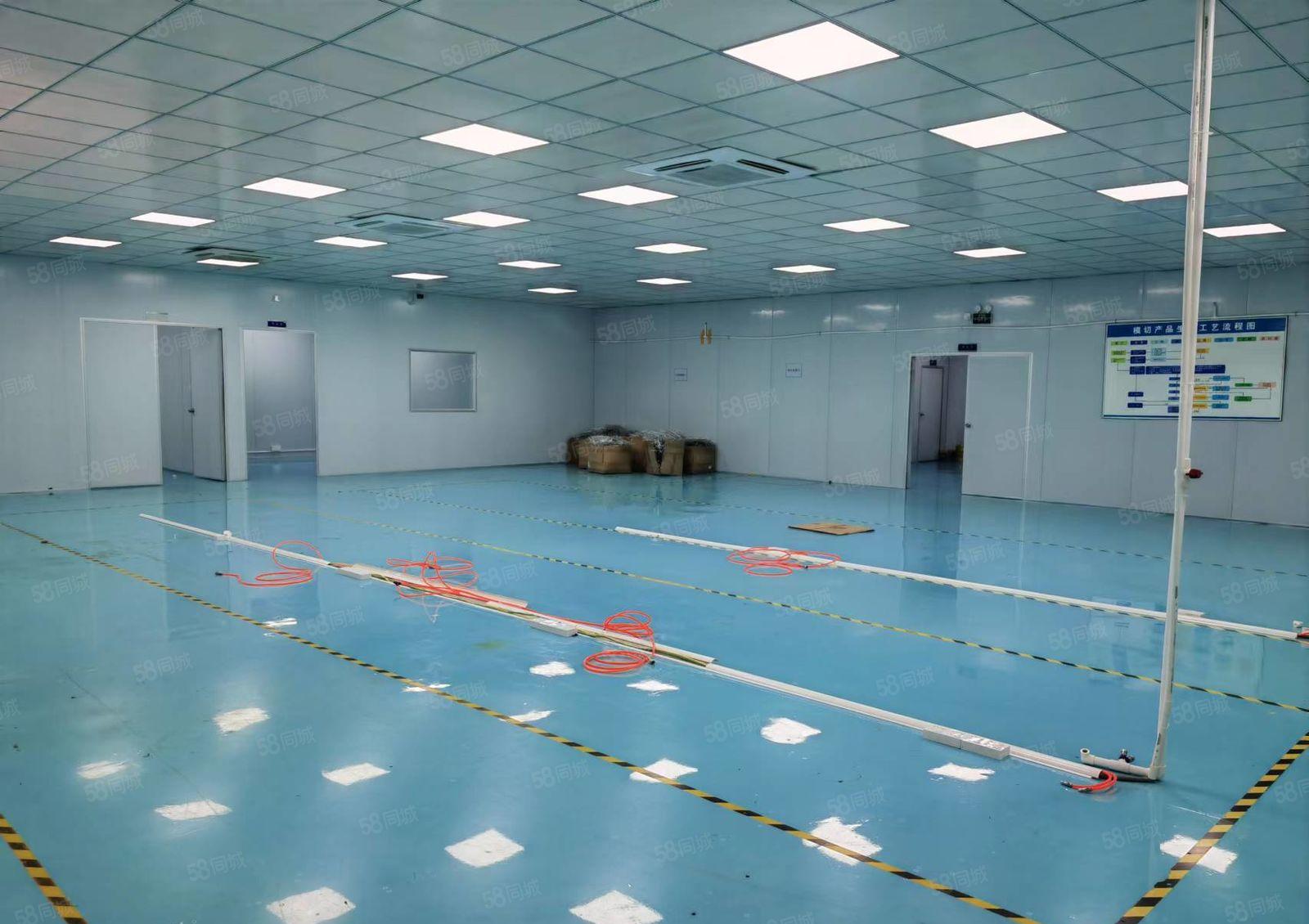 东城环城路桑园段（精装修）洁净车间（700）低价出租