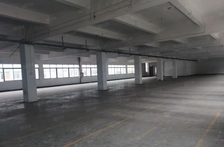 寮步9成新独院厂房  面积4500平方    房东低价出租