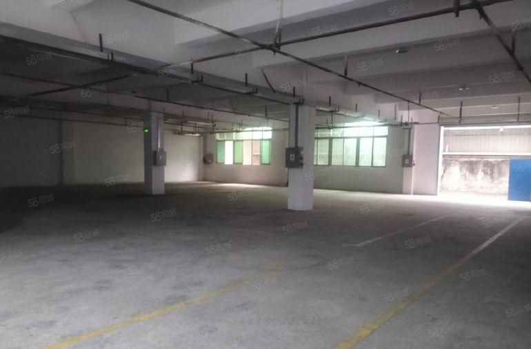 寮步凫山厂房出租，精装修，适合任何行业