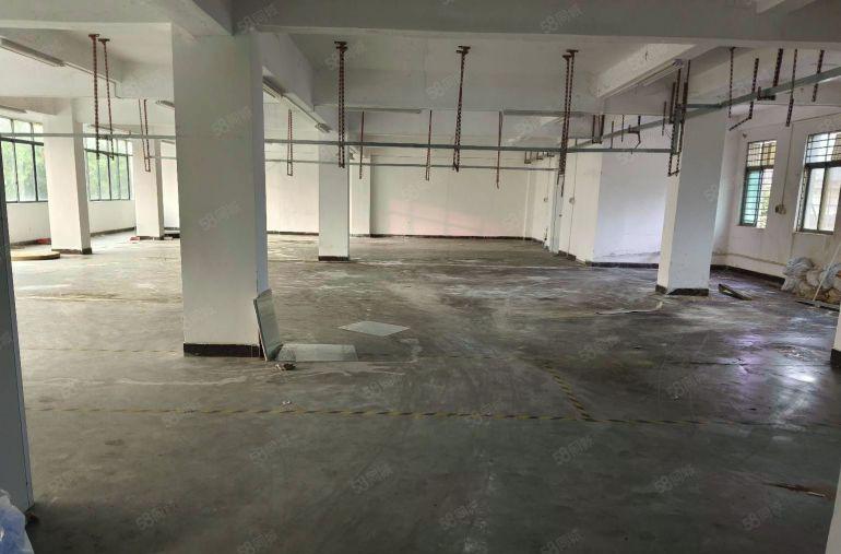 寮步上屯标准厂房二楼600平方 现成装修