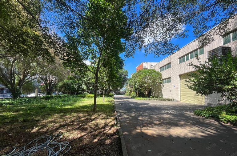 寮步镇原房东花园式独院厂房出租，价格便宜，水电过户空地超大