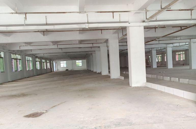 上屯高速路口标准厂房一整层3100平，特价12元，可办环评