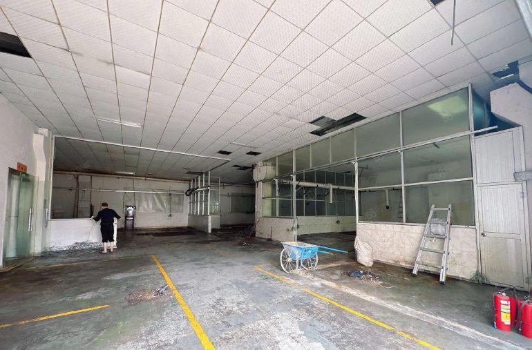 4000平米独院厂房可分租）凤岗雁田新出原房东带牛角厂房出租