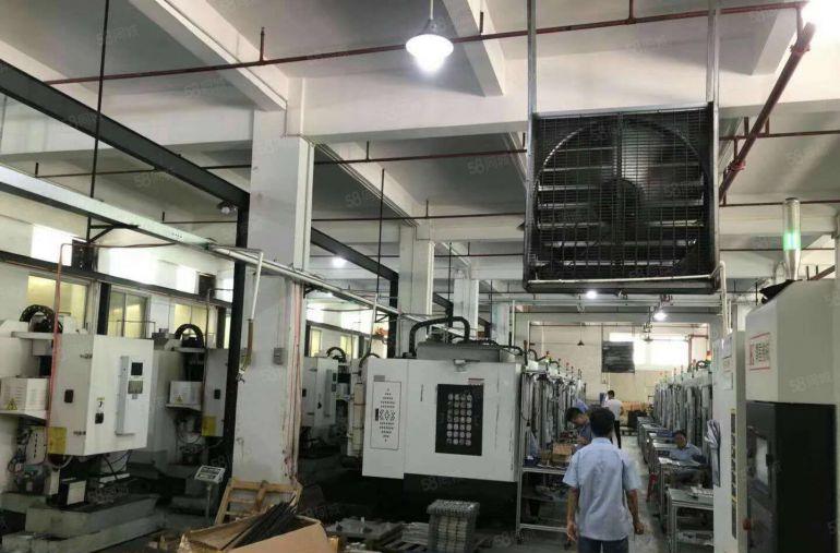 原房东3000平方米低价独院厂房）凤岗新出经典小独院厂房