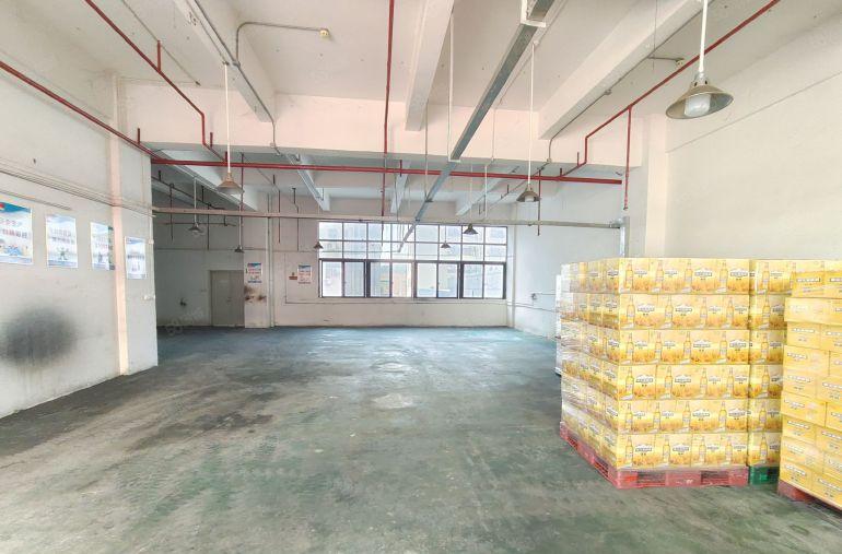 凤岗金凤凰标准一楼沿街500平租金24可谈，机加工，物流仓库