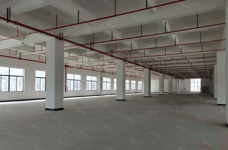 10元起租凤岗雁田独栋厂房出租12000平主干道边上空地大