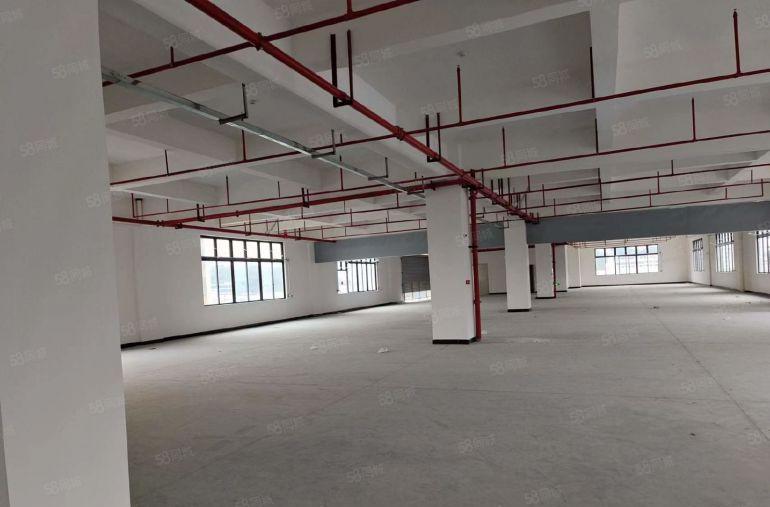 大小分租 有红本凤岗镇中心 全新独院厂房出租15300平