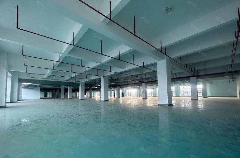 租金10元起可分租凤岗红本厂房低价出租5000平好招工