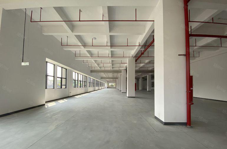 全新现楼红本厂房出租，业主直租，价格透明，1000平起租！