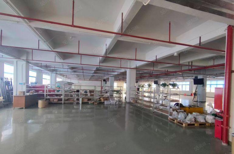 凤岗金凤凰带精装修二楼2000平方厂房出租