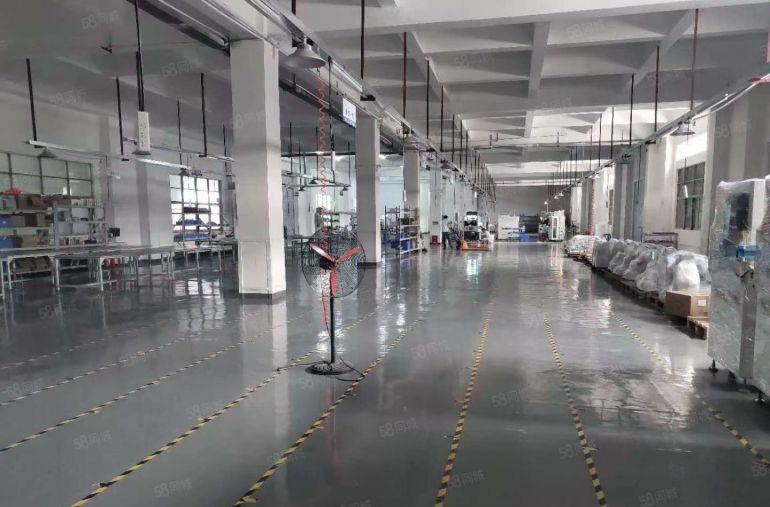 凤岗金凤凰原房东一楼1200平方厂房出租