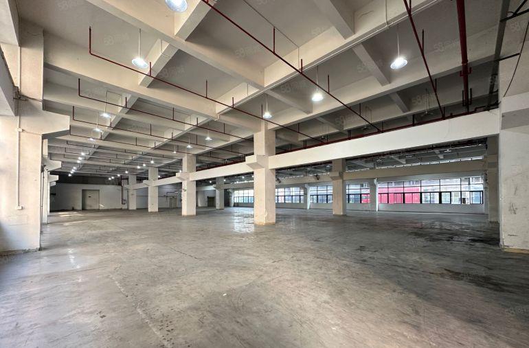 带航车出租高度6米一楼厂房面积2600平凤岗主道边上