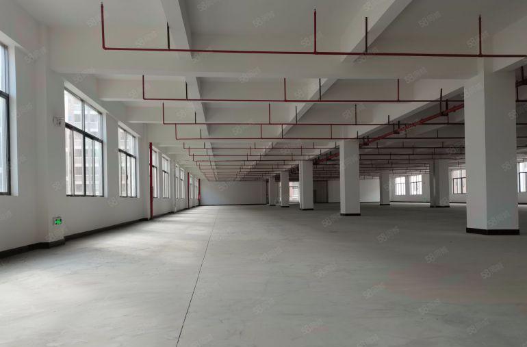 10元起租凤岗雁田独栋厂房出租12000平主干道边上空地大