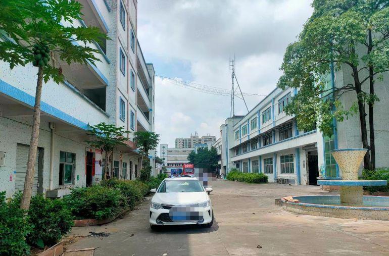 万江石美标准一楼650平出租，大路边交通便利