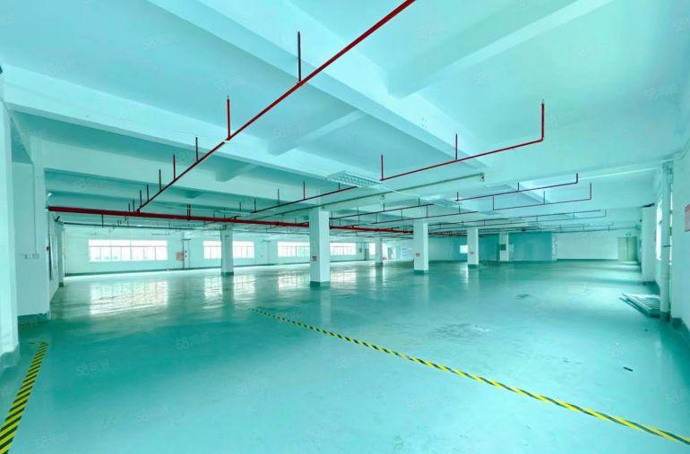 万江小享独院8800平三层标准厂房出租水电齐全带精装修院子大