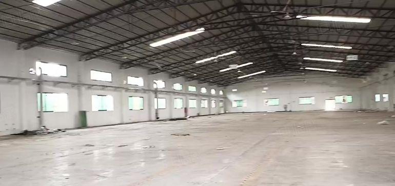 万江独院1500平单一层钢构厂房口罩机厂房低价出租滴水8米