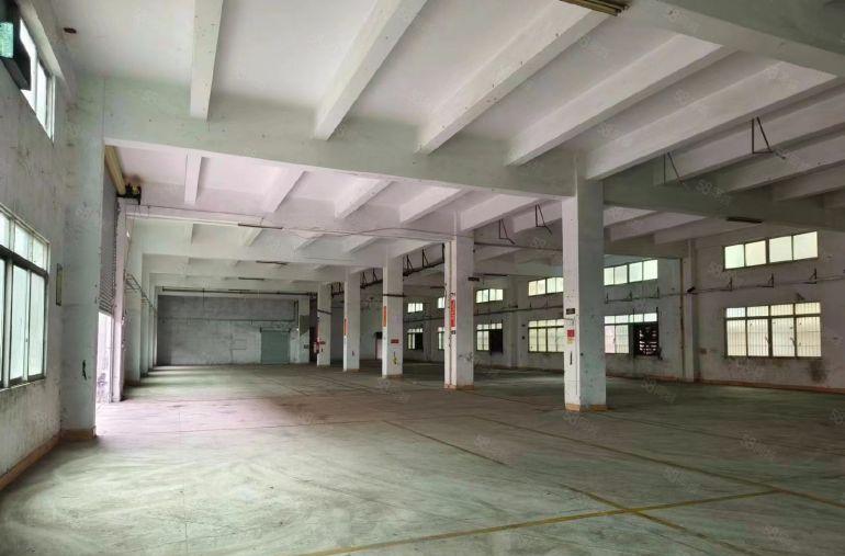 万江新出标准一楼2500平，交通便利空地大